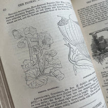 Load image into Gallery viewer, 1868 The Floral World edited by Shirley Hibberd with Colour Plates