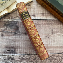 Load image into Gallery viewer, The Mother by Eden Phillpotts Half Calf Leather Antique Book Marbled