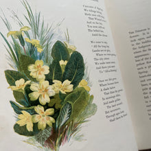 Load image into Gallery viewer, 1860 Common Wayside Flowers Illustrated by Birket Foster FIRST EDITION