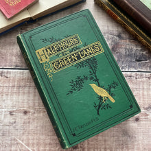 Load image into Gallery viewer, 1879 Half Hours in the Green Lanes by J.E.Taylor; Victorian Nature Book