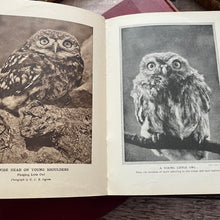 Load image into Gallery viewer, The Pageant of Nature Antique Illustrated Three Volume Collection