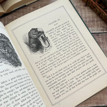 Load image into Gallery viewer, Victorian Book of Field Friends and Forest Foes; Illustrated 19th Century Book