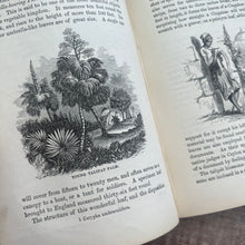 Load image into Gallery viewer, Beauties and Wonders of Vegetable Life; 19th Century Illustrated Book