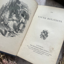 Load image into Gallery viewer, The Young Botanists; 19th Century Illustrated Book