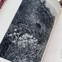 Load image into Gallery viewer, 1899 Wood and Garden by Gertrude Jekyll; Fine Half Morocco Binding