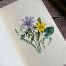 Load image into Gallery viewer, 1839 Our Wild Flowers Familiarly Described and Illustrated with Hand Coloured Plates