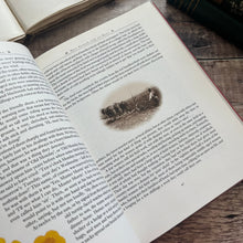 Load image into Gallery viewer, The Illustrated Lark Rise to Candleford by Flora Thompson Vintage 1984 Hardback Book