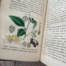 Load image into Gallery viewer, 1847 Ladies Botany A Familiar Introduction to the Study of Botany; Full Calf Leather