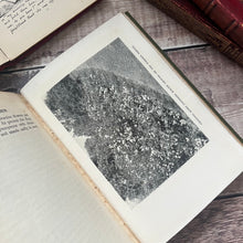 Load image into Gallery viewer, 1910 The Ideal Garden by HH Thomas Late Edwaridan Fine Cloth Binding