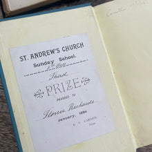 Load image into Gallery viewer, How Hettie Caught the Sunbeams by G P Dyer Late Victorian Book with Floral Binding