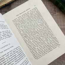 Load image into Gallery viewer, Danesbury House by Mrs Henry Wood Art Nouveau Antique Floral Book