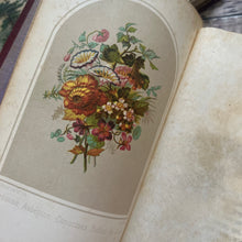 Load image into Gallery viewer, 1872 Langage Des Fleurs; French Language of Flowers with Colour Plates