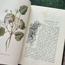 Load image into Gallery viewer, 1910 Familiar Wild Flowers; Three Individual Volumes, Half Calf with Marbled Edges