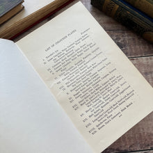 Load image into Gallery viewer, Flowers of the Field by Rev CA Johns Eleventh Impression Antique Floral Book