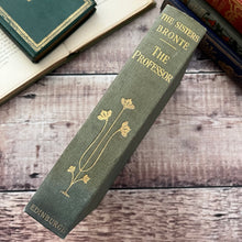Load image into Gallery viewer, 1905 The Professor by Charlotte Bronte Edwardian Illustrated Book