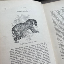 Load image into Gallery viewer, The Boy's Own Book of Natural History by Rev JG Wood; Jessie King Design Cover