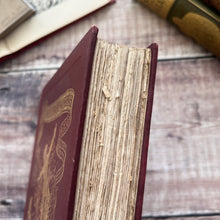 Load image into Gallery viewer, 1903 Tales from Maria Edgeworth Illustrated Beautiful Cloth Binding Edwardian