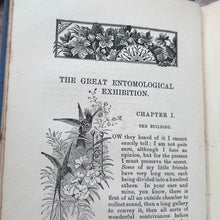 Load image into Gallery viewer, Lady-Bird's Tea-Party and Other Stories by James Crowther; Stunning Pictorial Cloth SCARCE Book