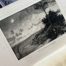 Load image into Gallery viewer, 1907 The Nature Poems of George Meredith; with Black and White Plates