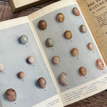Load image into Gallery viewer, 1910 The Young People's Nature Study Book in Garden Field and Wood