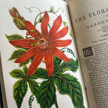 Load image into Gallery viewer, 1868 The Floral World edited by Shirley Hibberd with Colour Plates
