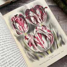 Load image into Gallery viewer, 1939 First Edition Old Fashioned Flowers by Sacheverell Sitwell Illustrated by John Farleigh