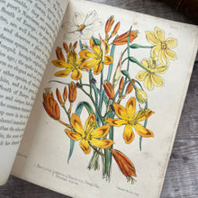 Load image into Gallery viewer, 1855 Popular Garden Botany by Agnes Catlow; First Edition with Hand Coloured Plates