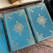 Load image into Gallery viewer, The Novels of Jane Austen Full Lambskin Luxury Binding 23ct Gold Beautiful Book Set