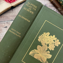 Load image into Gallery viewer, 1911 Alpine Plants of Europe by H.S.Thompson; Antique Floral Binding Book