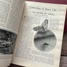 Load image into Gallery viewer, The Pageant of Nature Antique Illustrated Three Volume Collection