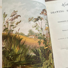Load image into Gallery viewer, 1877 Drawings from Nature by Barnard Progressive Instructions in Sketching Victorian Book