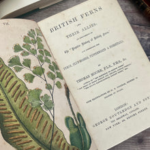 Load image into Gallery viewer, British Ferns and their Allies by Thomas Moore Mid Victorian Book with Colour Plates
