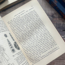 Load image into Gallery viewer, 1877 Sketches of Animal Life and Habits by Andrew Wilson; Illustrated Nature Book