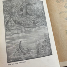 Load image into Gallery viewer, 1913 Wild Life on the Wing by M.D.Haviland; Illustrated Antique Bird Book