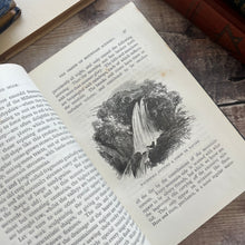 Load image into Gallery viewer, 1880 Mountain and Moor; Natural History Rambles Illustrated Victorian Book