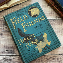 Load image into Gallery viewer, Victorian Book of Field Friends and Forest Foes; Illustrated 19th Century Book
