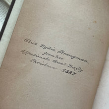 Load image into Gallery viewer, 1881 The Pilgrim's Progress by John Bunyan; Victorian Illustrated Book