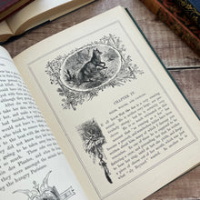 Load image into Gallery viewer, Victorian Book of Field Friends and Forest Foes; Illustrated 19th Century Book