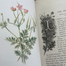 Load image into Gallery viewer, Familiar Wild Flowers Seven Volumes Bound as Four; Quarter Leather Illustrated Set