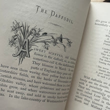 Load image into Gallery viewer, Flowers and Their Teachings Scarce Binding Late Victorian Illustrated