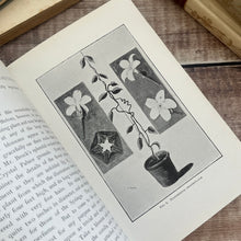 Load image into Gallery viewer, Nature Curious and Beautiful by Richard Kerr; Early 20th Century Illustrated Book