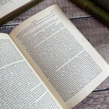 Load image into Gallery viewer, Queechy by Elizabeth Wetherell WORN Beautiful Antique Binding Late Victorian Book