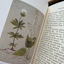 Load image into Gallery viewer, 1929 The Children's Book of Wild Flowers by Gareth H Browning; Two Volume Illustrated