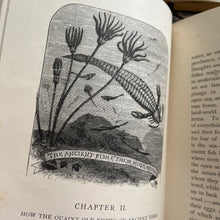 Load image into Gallery viewer, 1909 Winners in Life's Race by Arabella Buckley Illustrated Antique Book