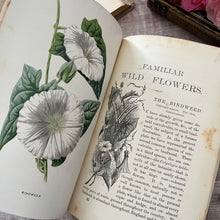 Load image into Gallery viewer, Familiar Wild Flowers Second Series by Edward Hulme; Half Leather Illustrated Book