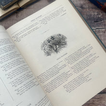 Load image into Gallery viewer, 1885 Illustrated Poems and Songs for Young People; Victorian Children's Book