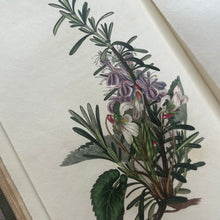 Load image into Gallery viewer, 1833 The Moral of Flowers; First Edition with Hand Coloured Plates RARE (et)