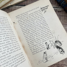 Load image into Gallery viewer, 1905 Northern Trails by William J-Long Illustrated Antique Book