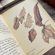 Load image into Gallery viewer, 1978 The Country Diary of an Edwardian Lady; Vintage Hardback with DJ