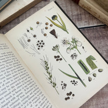 Load image into Gallery viewer, 1898 An Introduction to the Study of Microscopic Fungi; Illustrated Victorian Book